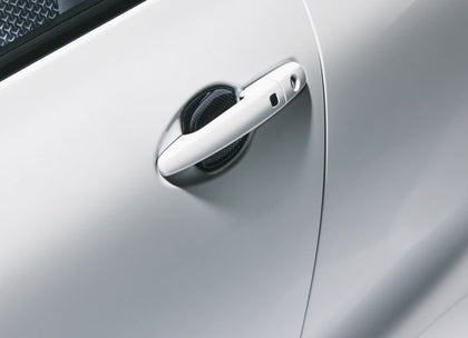 Suzuki Swift Door Handle Escutcheon - Carbon