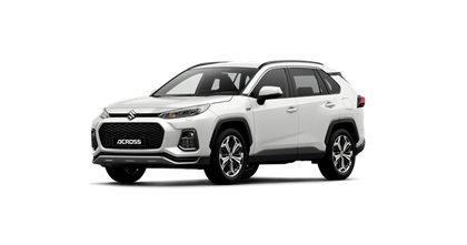 Suzuki Across Pollen Filter